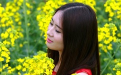 探索原神妮露掀起奶盖黄